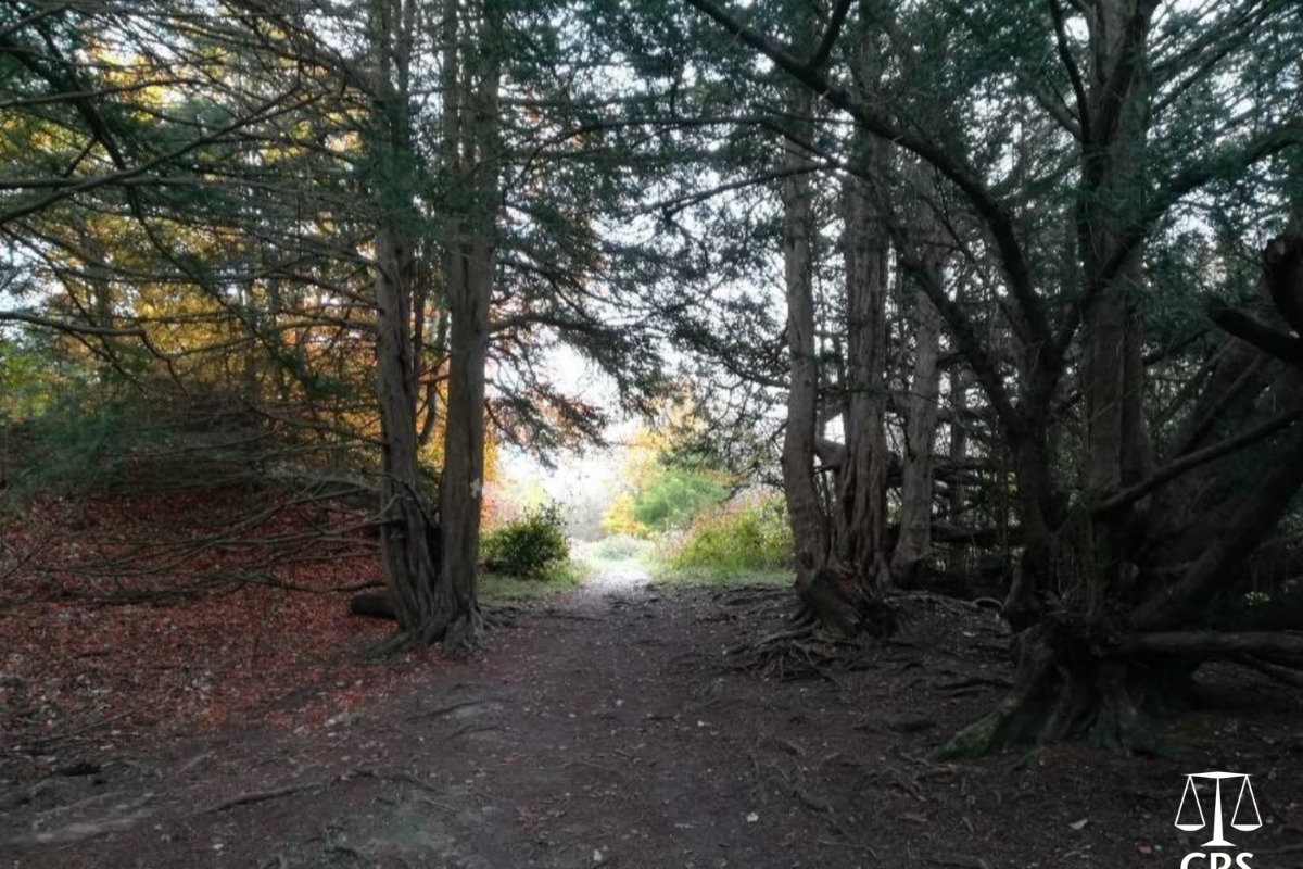 Another walker took this picture of Watlington Woods on the day of the murder Picture: CPS